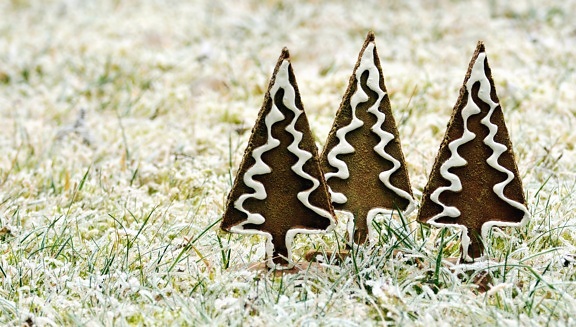 ต้นไม้ สน ตกแต่ง หิมะ คริสมาสต์ ฤดูหนาว