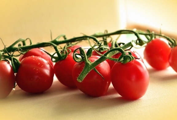 Tomate, tige, légumes, nourriture, plante