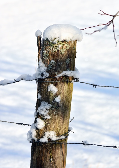 Poteau, neige, fil, clôture, hiver, froid
