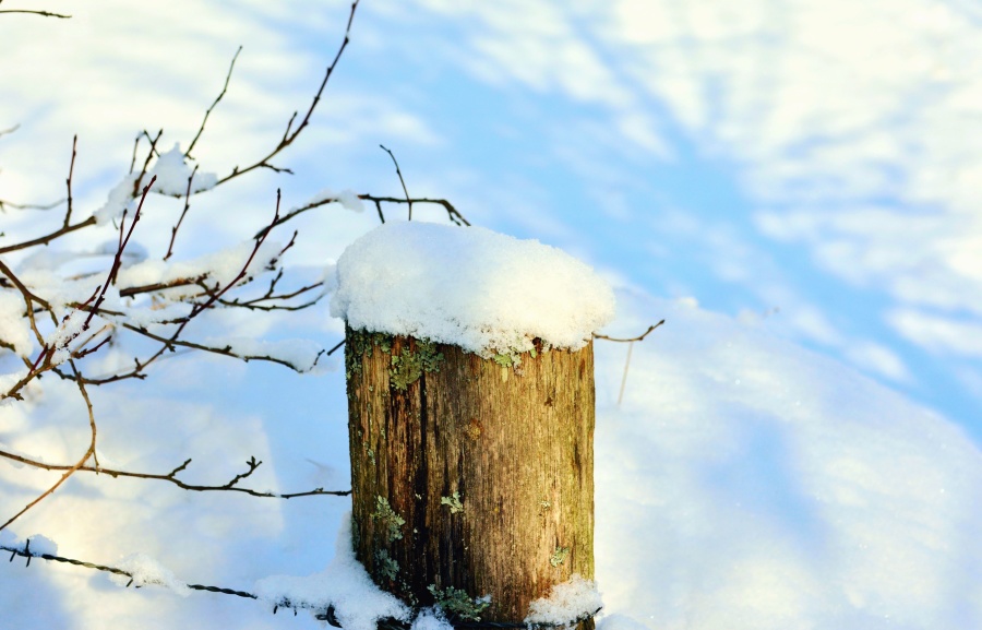 ограда, сняг, зима, студ