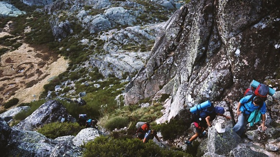 group, people, climbing, mountain, sport