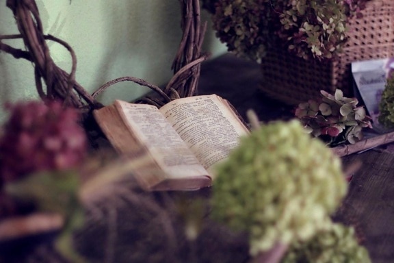 gamle, bog, stilleben, blomst