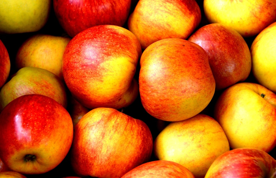 βιολογικά, φρούτα, τρόφιμα, διατροφή, κόκκινο μήλο