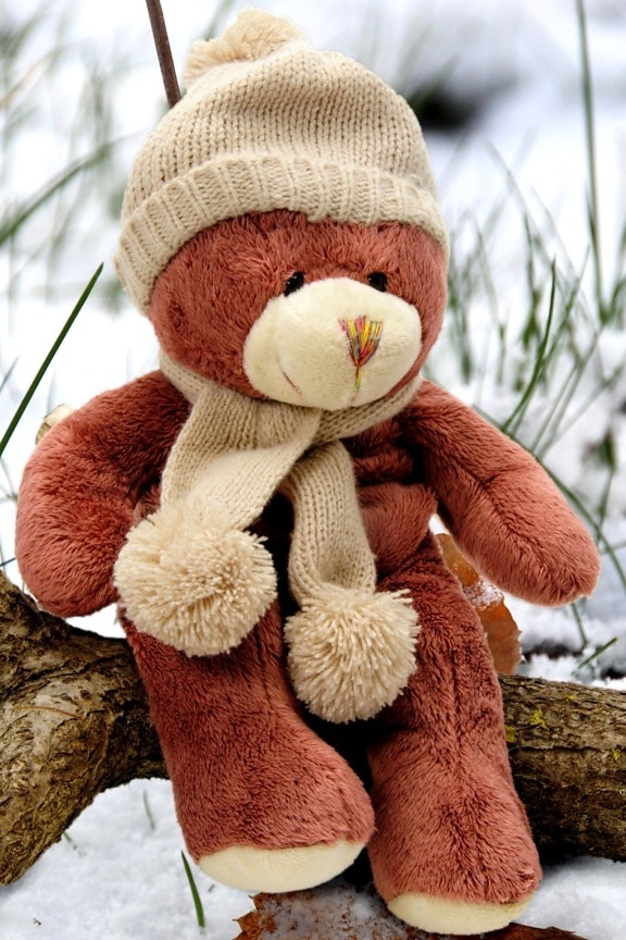 teddy bear, outside, winter, snow