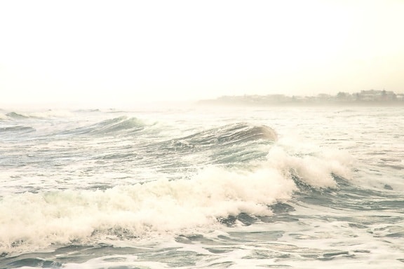 wave, ocean, sea, water, beach, weather, coast