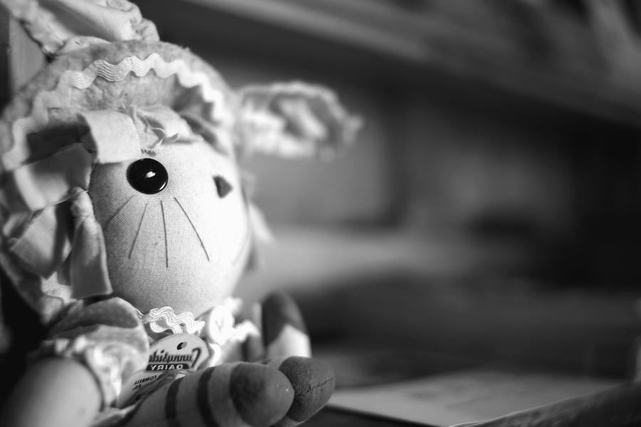 Free picture: doll, toy, black, monochrome