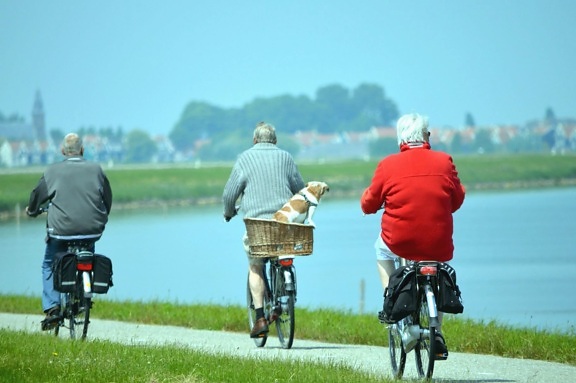 cykel, hund, korg, människor, rekreation, kusten, road, floden