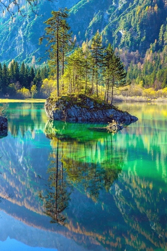 дърво, скали, планина, гора, природа, езеро, отражение