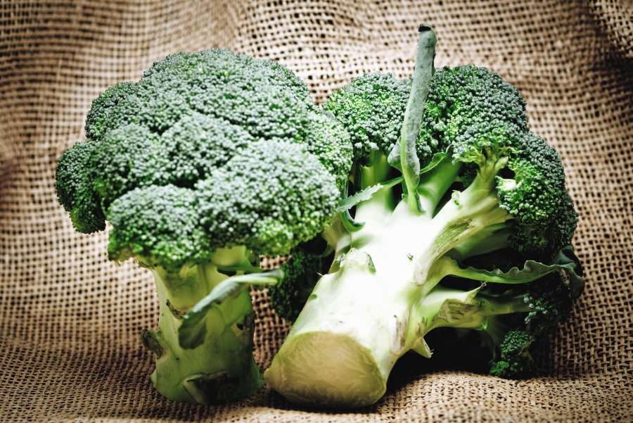 broccoli, plantaardige, plant, voeding, biologische