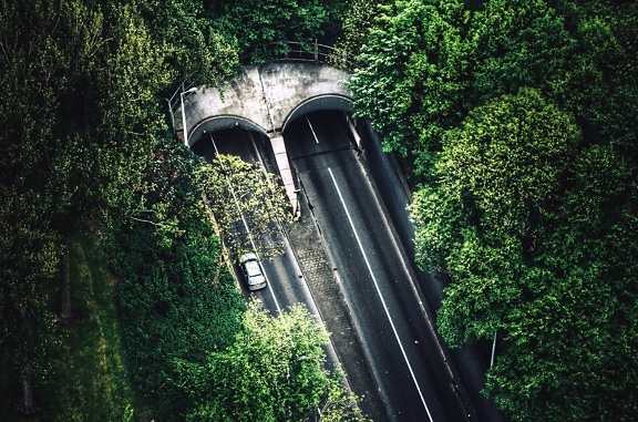 cesta, asfalt, tunel, drvo, šuma, priroda, prijevoz, auto