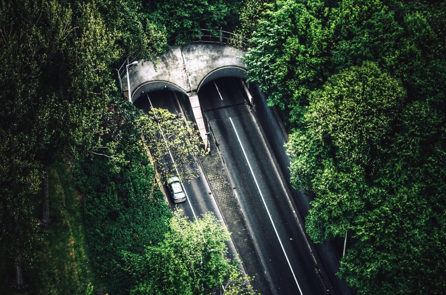 Straße, Asphalt, Tunnel, Holz, Wald, Natur, Transport, Auto