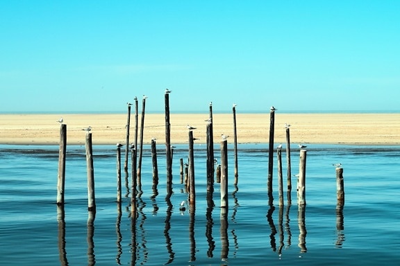 Pilastro, acqua, mare, sabbia, riflessione
