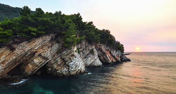 cliff, tree, sea, water, nature, landscape