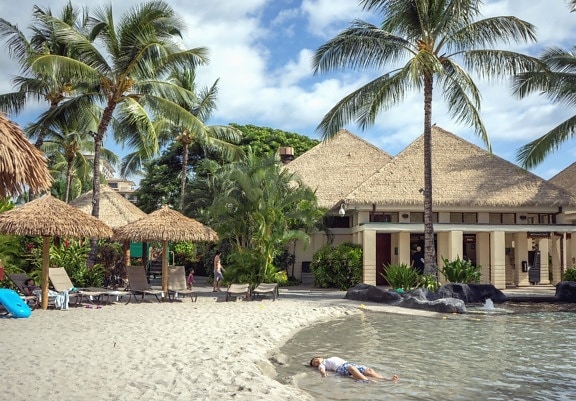 house, sea, tropic, parasol, beach, sand, man, palm tree