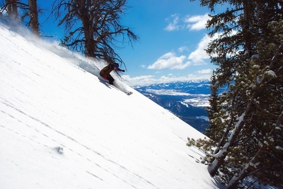 skiing, snow, tree, sky, mountain, snow, cold