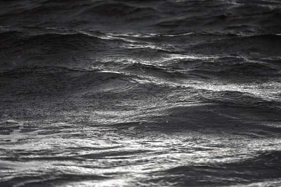 Mar, onda, agua, mojado, reflexión