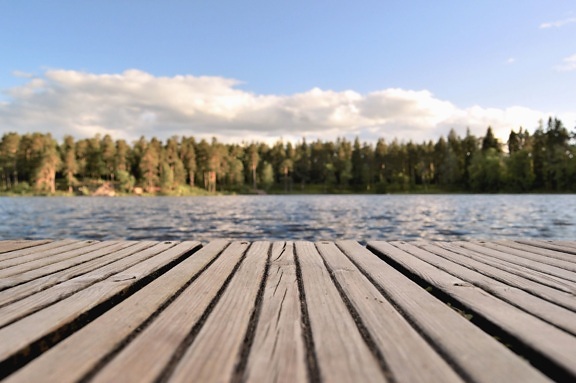 plank, lake, water, forest, tree, sky, nature