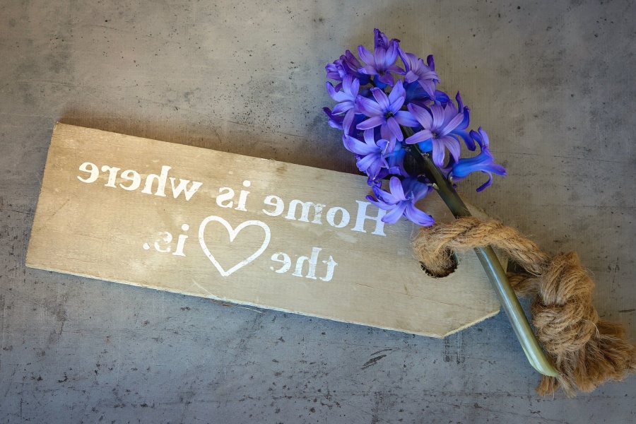 Blume, bord, inschrift, blütenblätter, pflanze Seil