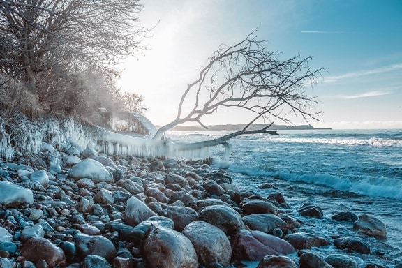 冰, 冬天, 寒冷, 岩石, 树枝, 水, 景观, 光, 太阳, 天气