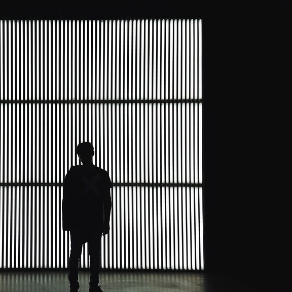 man, man, grid, wall, silhouette