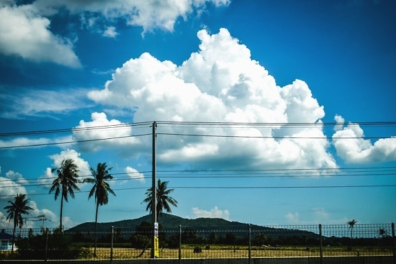 sky, cloud, palm, tree, wire, electricity, fence, mountain