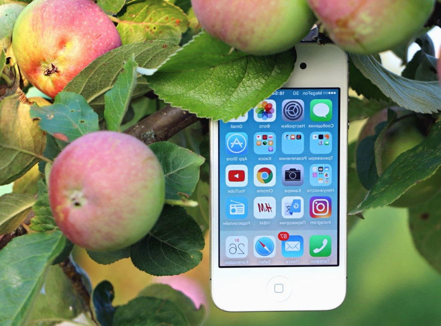 Teléfono celular, tecnología, programa, manzana, árbol, fruta, rama, hoja