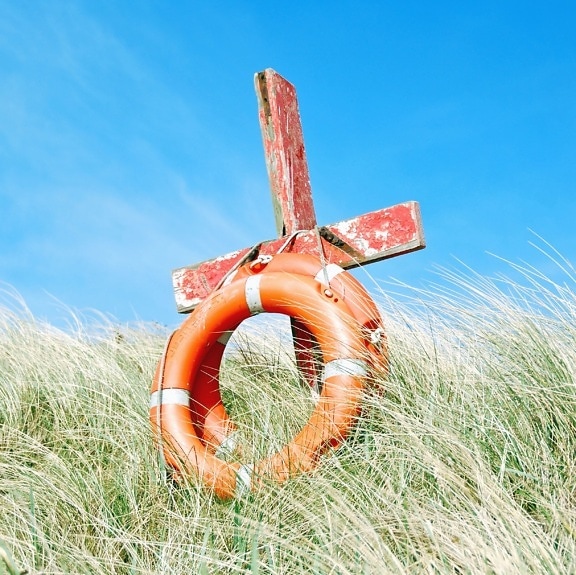 lifebuoy, wood, sea grass, rope, sky
