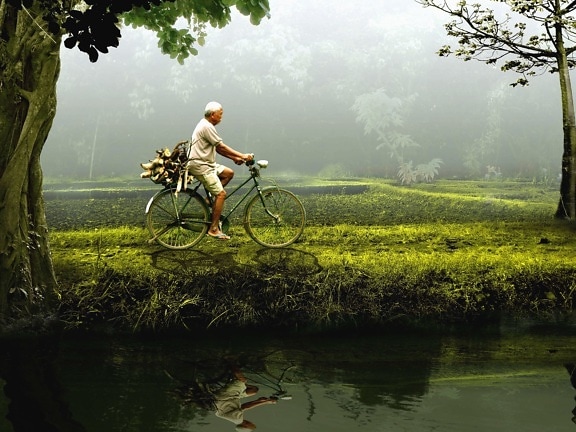 Hombre, bicicleta, río, árbol, hierba, reflexión