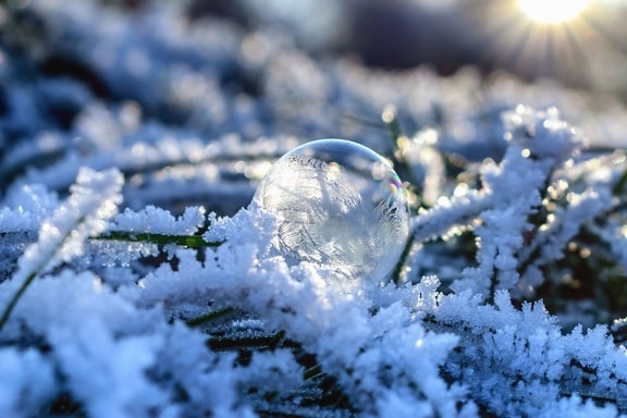 Nieve, esfera, sol, frío, hielo, congelado, sol, reflexión