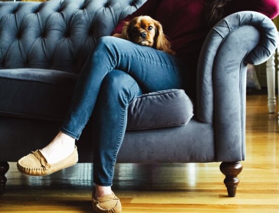 dog, couch, animal, shoe, girl, pants, interior, house