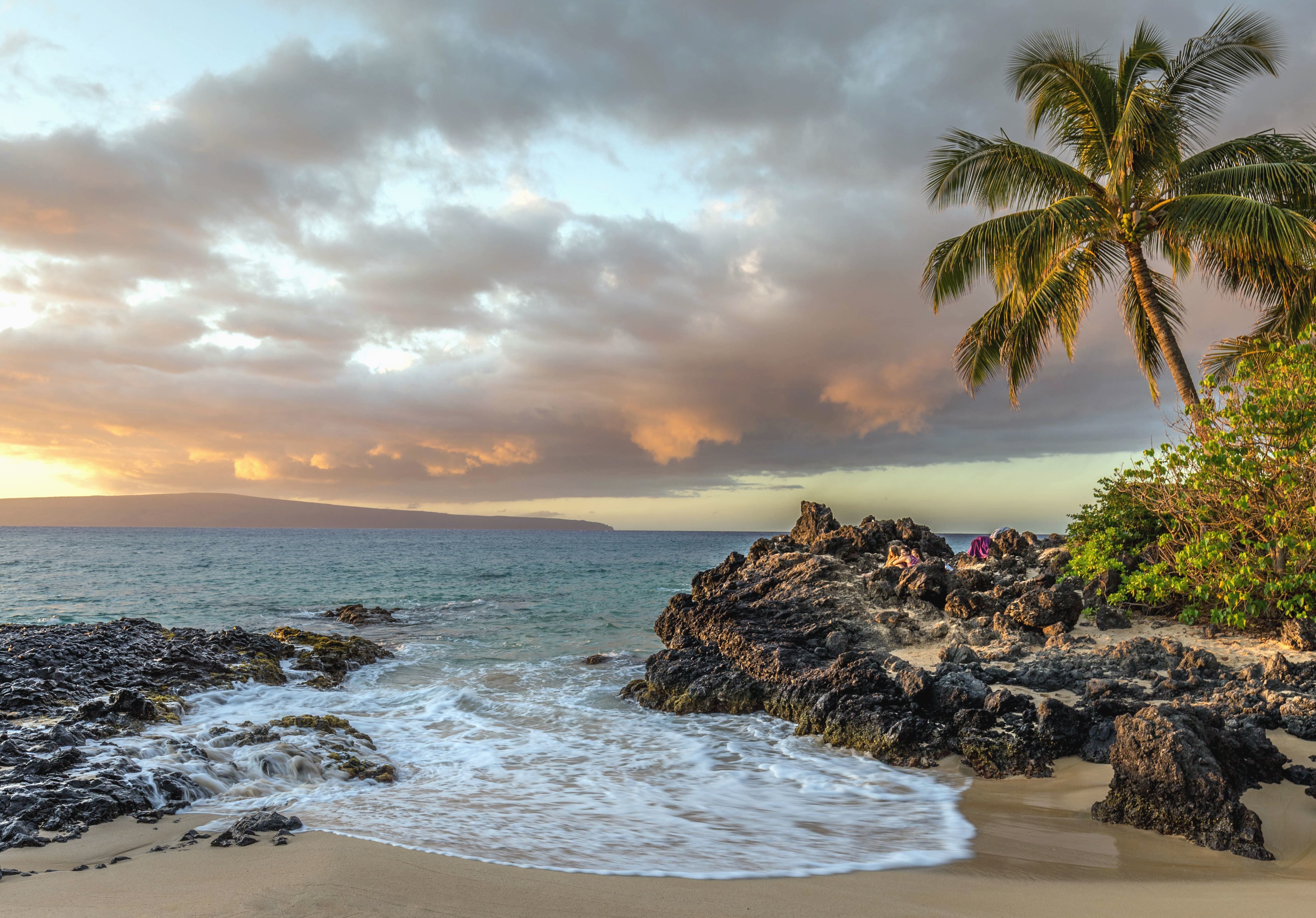Free picture: palm tree, coast, sea, sky, sunset, island