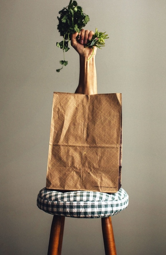 papirpose, stol, arm, vegetabilsk, dekoration, plante, mad