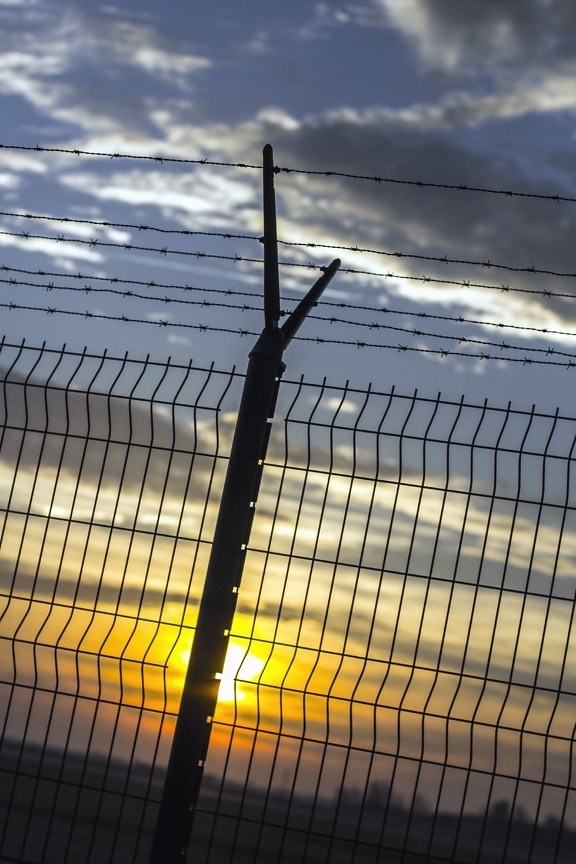 wire, fence, poles, barbed wire, sky, sunset