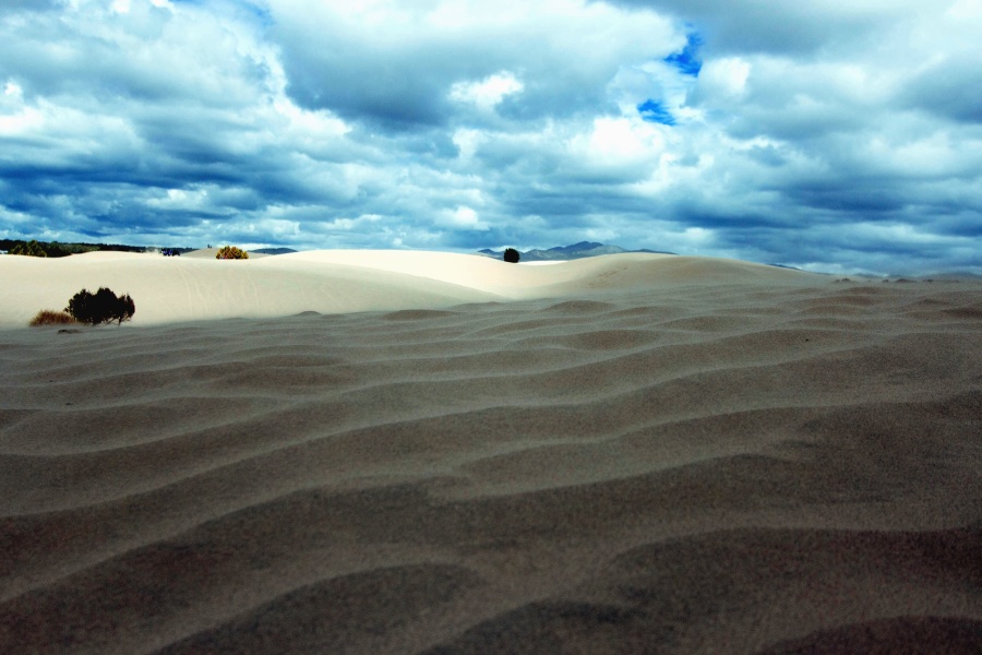 Sand, linie, wolke, baum, landschaft