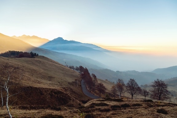 road, tree, mountain, fog, daylight, dawn