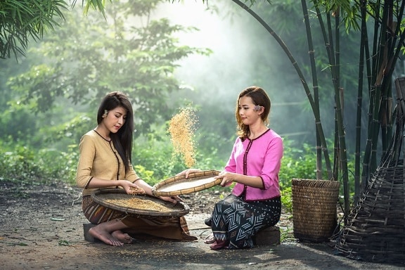 アジアの女の子、農業、竹、バッグ、種子、自然、森林