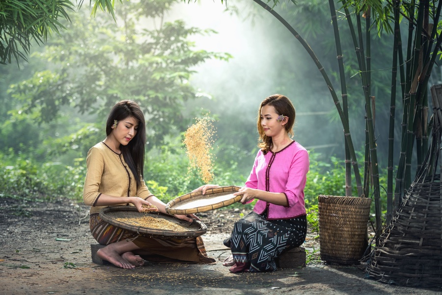 Ázsiai lány, mezőgazdaság, bambusz, táska, vetőmag, természet, erdő