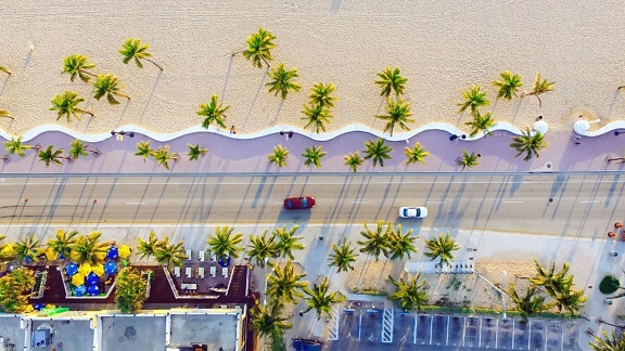 palm tree, sand, coast, road, car, house, building