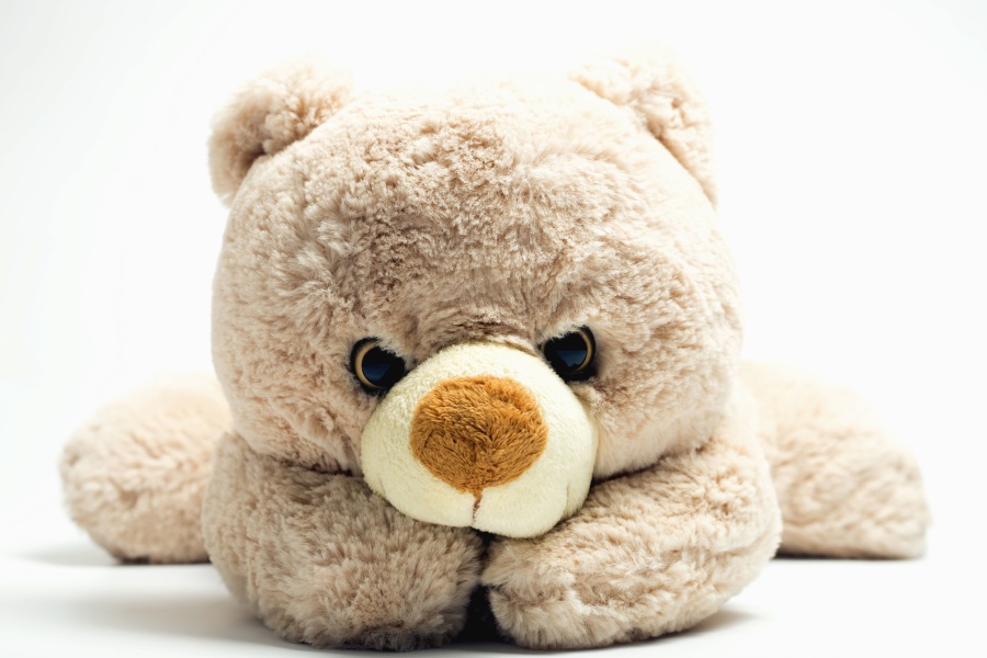 Teddy bear speelgoed, kind, pop