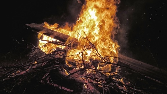 fire, branch, hot, flame, smoke, wood