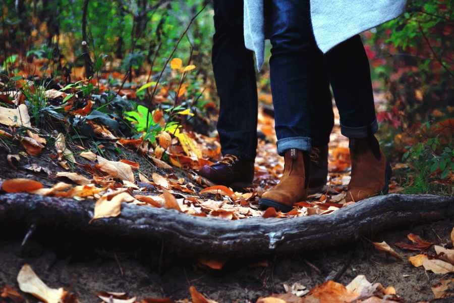 森林、葉、灰、木材、靴、パンツ、男と女