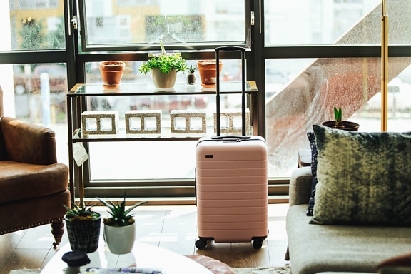 suitcase, flowerpot, plant, table, travel, vacation, tourists