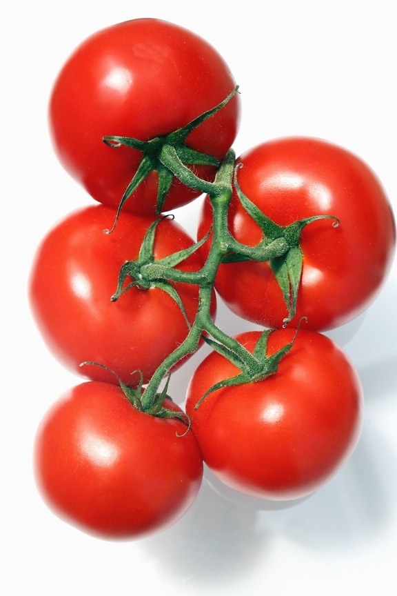 tomato, food, stems, vegetable, red, food