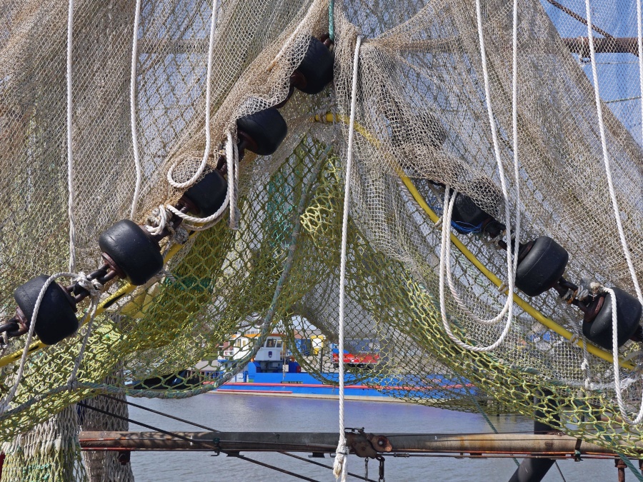 net, boat, fisherman, sea, fish, rope, fence