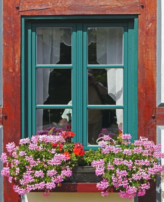 Maison, fenêtre, architecture, mur, pot de fleurs