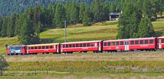 train, passenger, mountain, forest, vehicle