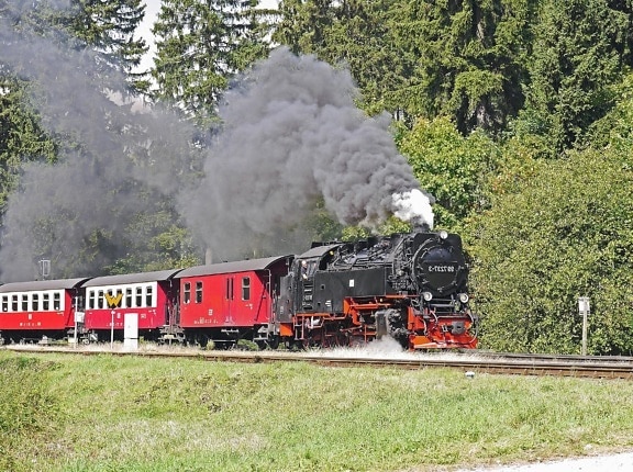 mozdony, vonat, jármű, füst, erdő, utas, attrakció, idegenforgalmi, steam