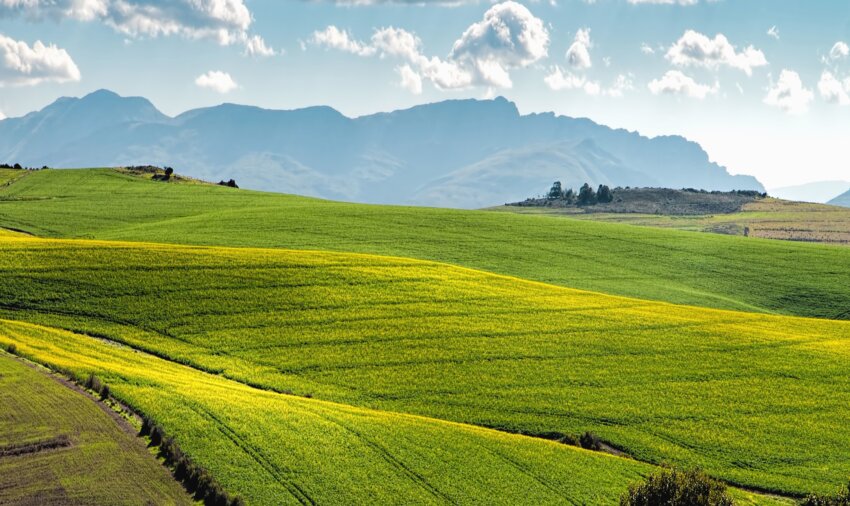 Imagen gratis: Pradera, campo, pasto o césped, paisaje, prado, granja ...