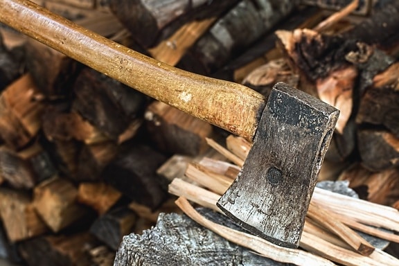 hatchet, tree, stump, metal, iron, ax, hand tool, firewood