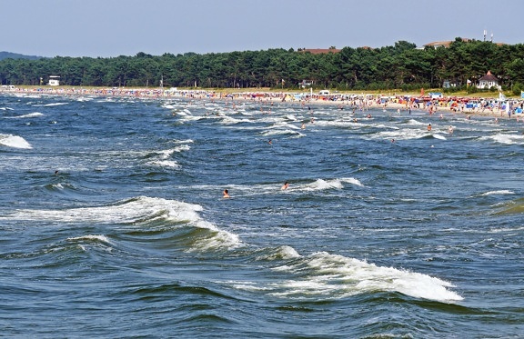 sea, people, coast, water, swimming, wave, wood, vacation, tourism